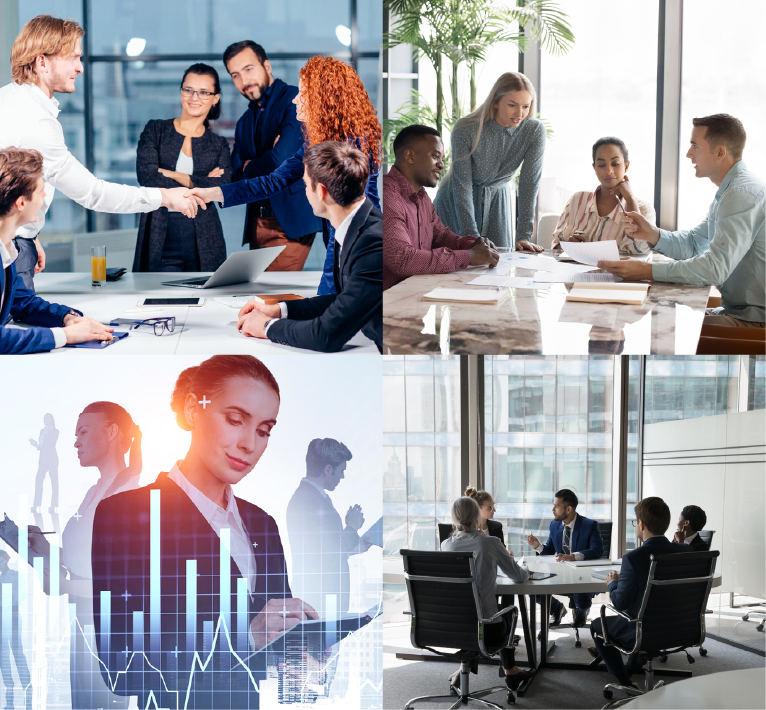 Hands holding fresh vegetables